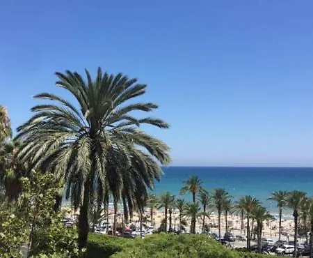Bel Face A La Alicante